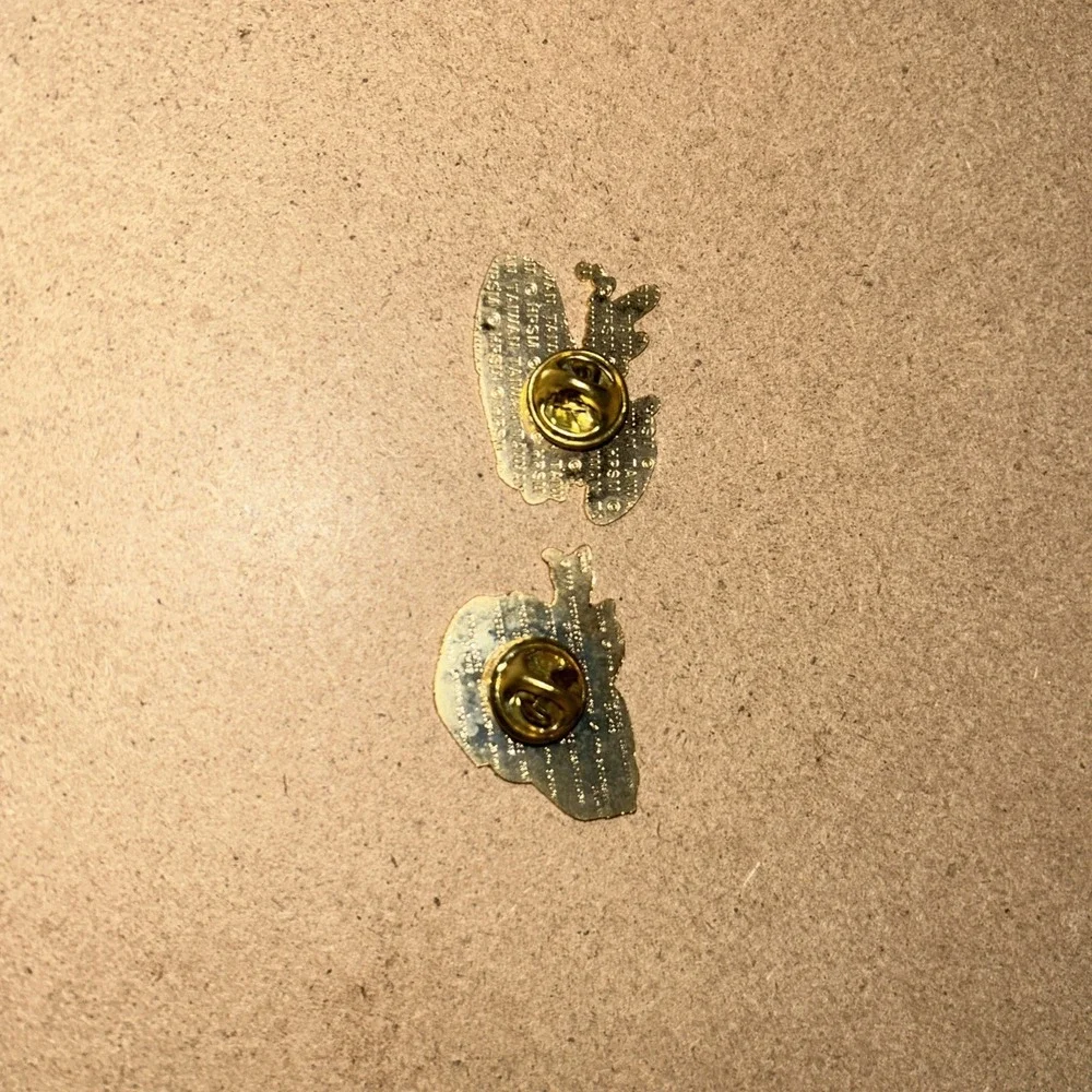 Jeff Gordon Race Day Hat Pin Lot Of 2